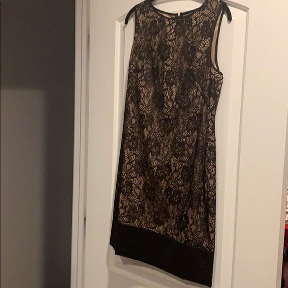 Cache lace dress  - Picture 8 of 11